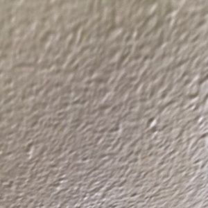 Meet your Posher, Briana